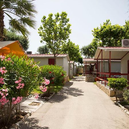 Villaggio Albergo Cervo Zapponeta Exterior foto